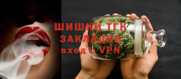 дживик Абаза