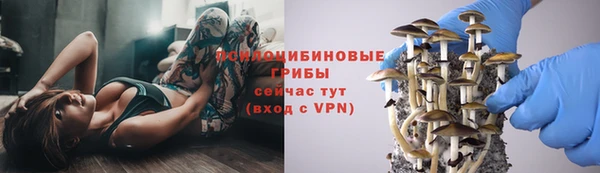 бошки Абдулино