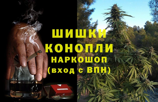 дживик Абаза
