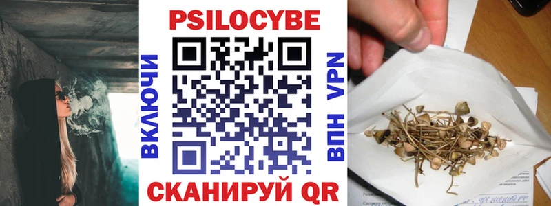 Галлюциногенные грибы MAGIC MUSHROOMS  закладка  Нарьян-Мар 
